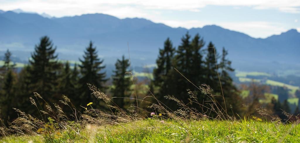 Panoramagasthof Auf Dem Auerberg Bernbeuren Luaran gambar